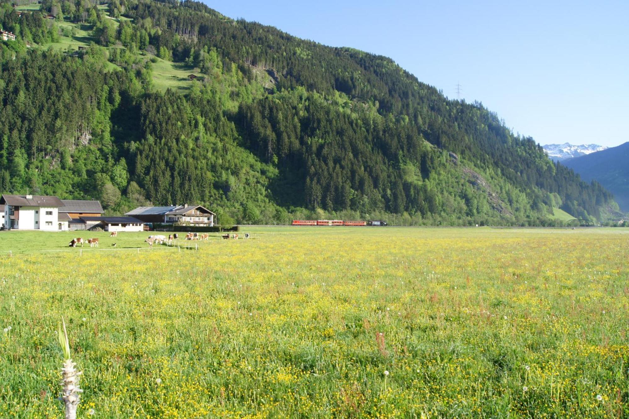 Appartement Kuen Zell am Ziller Dış mekan fotoğraf