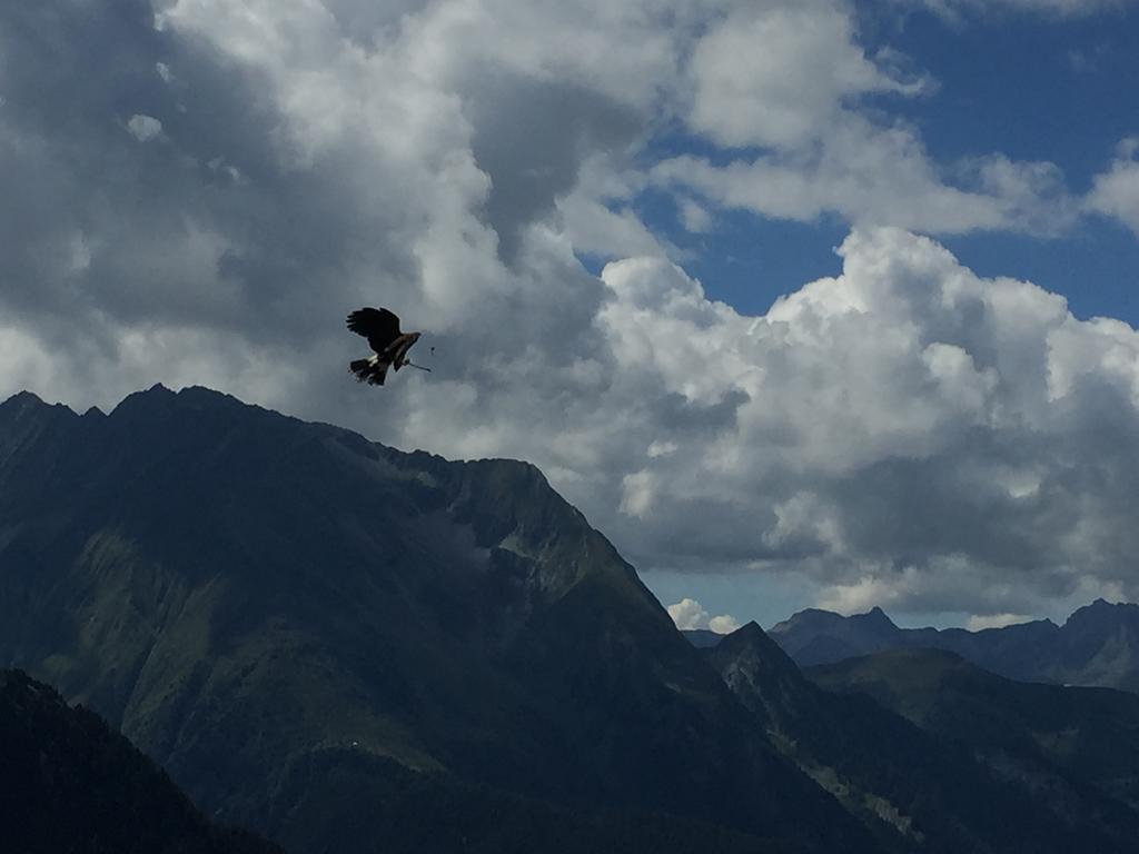 Appartement Kuen Zell am Ziller Oda fotoğraf