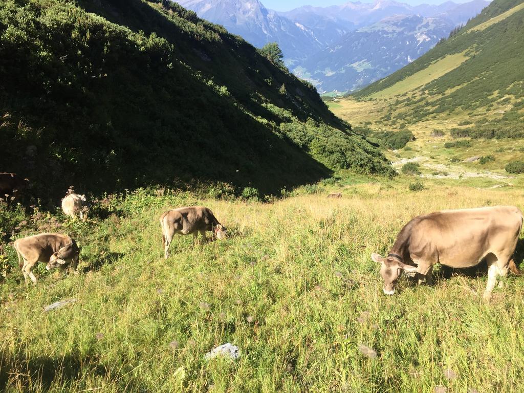 Appartement Kuen Zell am Ziller Oda fotoğraf